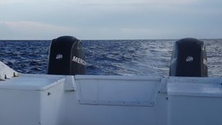 Pescuit Marea Caraibelor